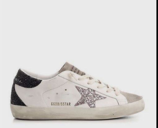 Picture of golden goose 5