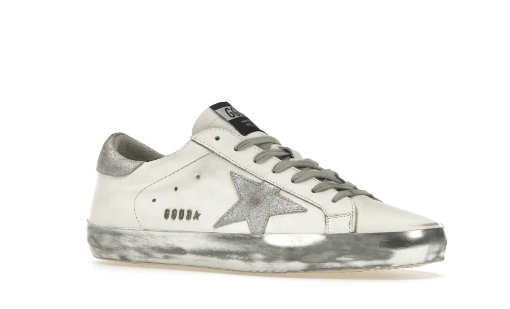 Picture of golden goose 6