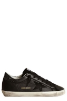 Picture of golden goose 