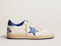 Picture of golden goose 