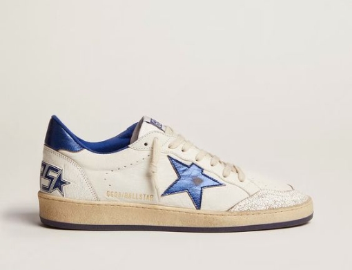Picture of golden goose 