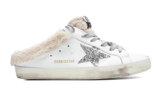 Picture of golden goose 